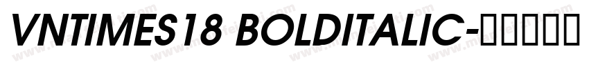 VnTimes18 BoldItalic字体转换